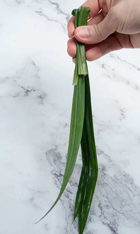 Folding Pandan leaves into 3 sections first section