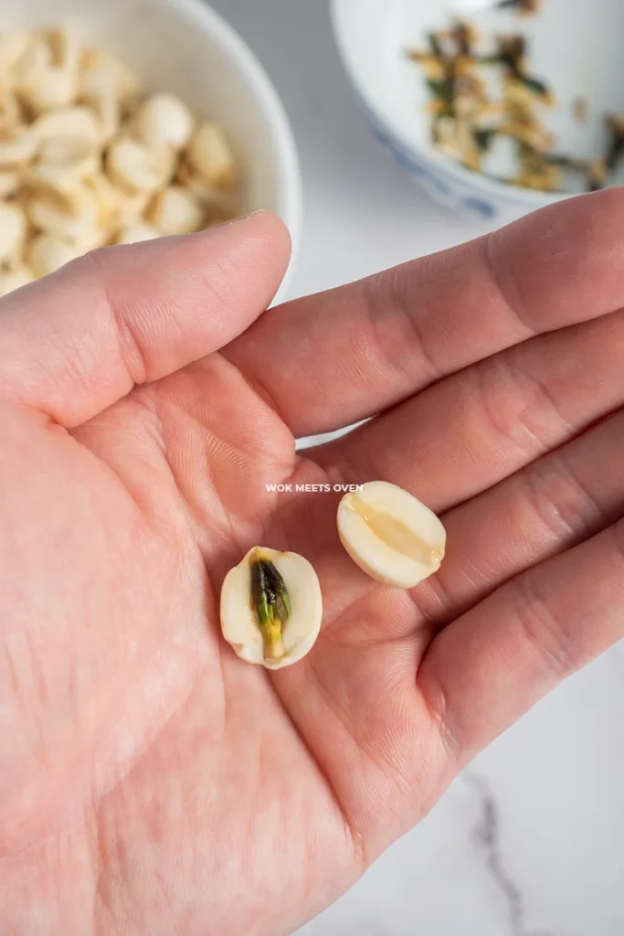 Hand holding lotus seed showing green stem