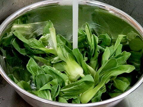 Wash Bok choy in bowl