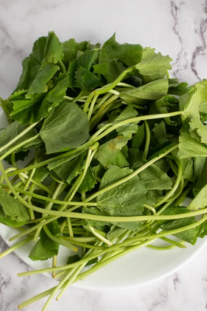 Image of pennywort